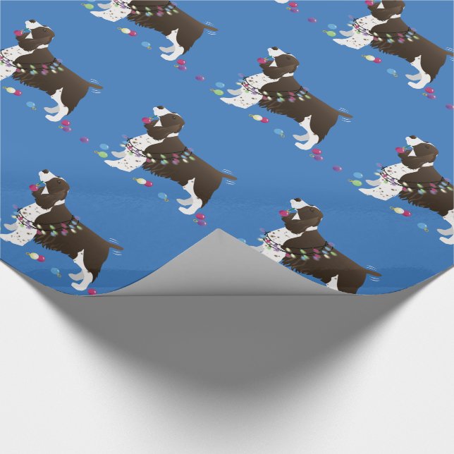 Papel De Presente Ilustração de Natal de Brown Springer Spaniel (Ponta)