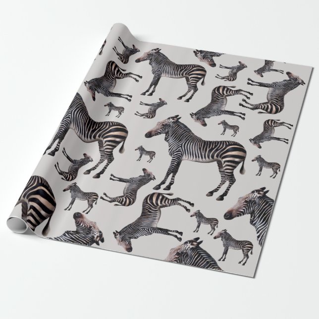 Papel De Presente Ilustração de Zebra Safari Vintage (Desenrolado)