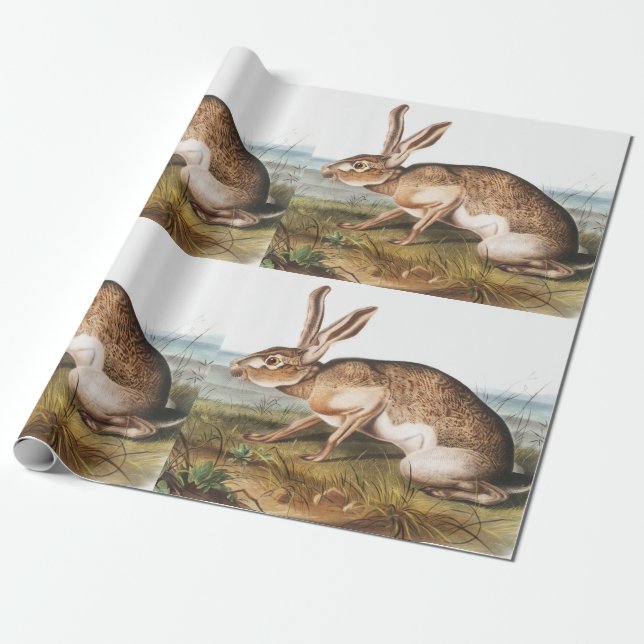 Papel De Presente Ilustração do Coelho da Lepus Texianus (Desenrolado)