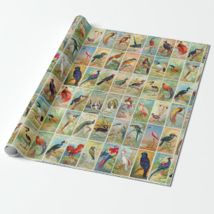 Papel De Presente Ilustração tropical bonita do século XIX dos