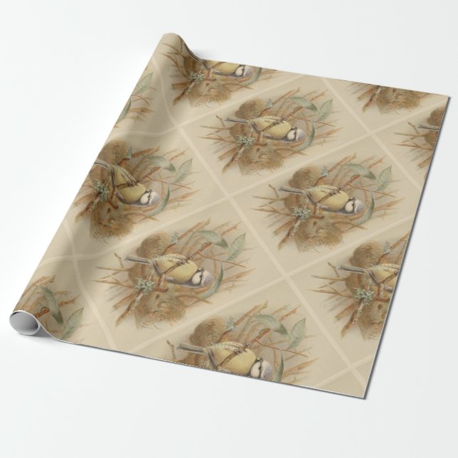 Papel De Presente Ilustração Vintage de Chapim-azul (Desenrolado)