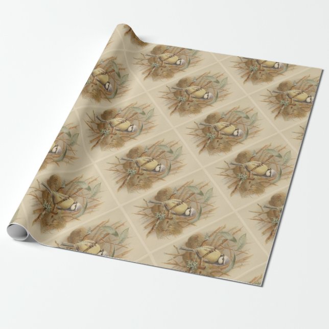 Papel De Presente Ilustração Vintage de Chapim-azul (Desenrolado)