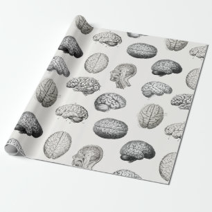 Papel De Presente Ilustrações de Anatomia do Cérebro Vintage Biologi
