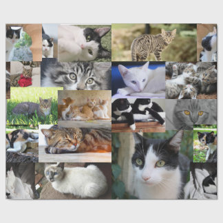 Papel De Presente Imagem de Gatos Diferentes