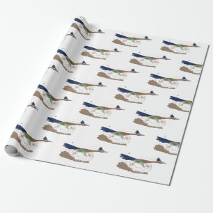Papel De Presente Imagem engraçada de desenho animado de pássaros do