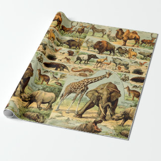 Papel De Presente Impressão animal vintage vida selvagem africana