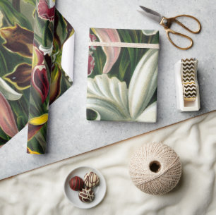 Papel De Presente Impressão da arte de Ernst Haeckel: Orchidae