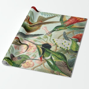 Papel De Presente Impressão da arte de Ernst Haeckel: Trochilidae