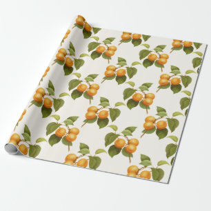Papel De Presente Impressão do abricó