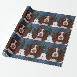 PAPEL DE PRESENTE INGLÊS SPRINGER SPANIEL