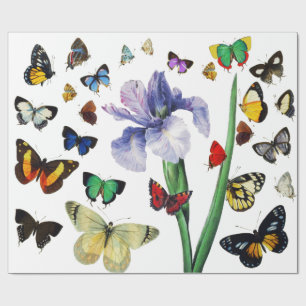 PAPEL DE PRESENTE IRIS ENTRE BOTTERFILAS COLORIDAS