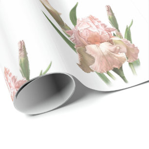 Papel De Presente Íris Rosa Corada