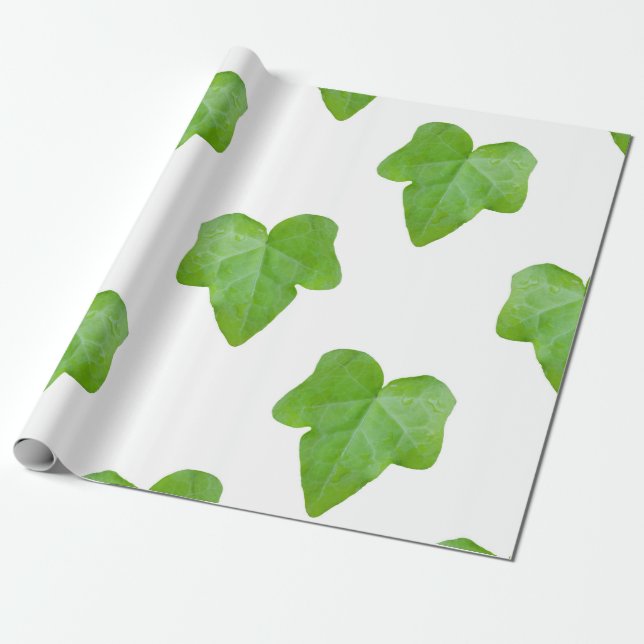 Papel De Presente Ivy Leaf Pattern (Desenrolado)