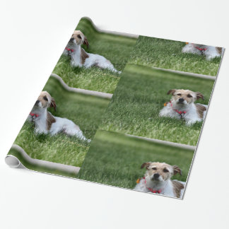 Papel De Presente Jack