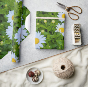 Papel De Presente Jardim de Margaridas Brancas