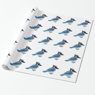 Papel De Presente Jay azul adorável