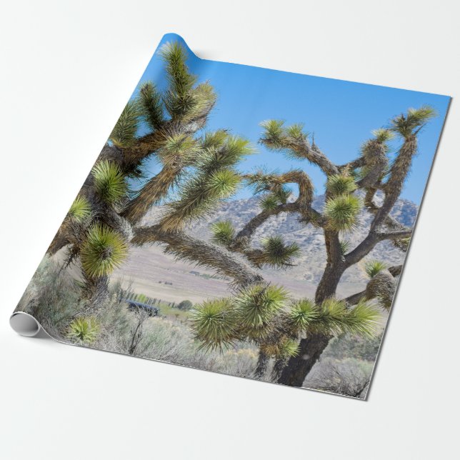 Papel De Presente Joshua Tree na Califórnia (Desenrolado)