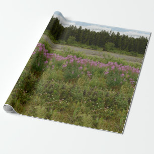 Papel De Presente Juneau Alaksa Wrapping Paper