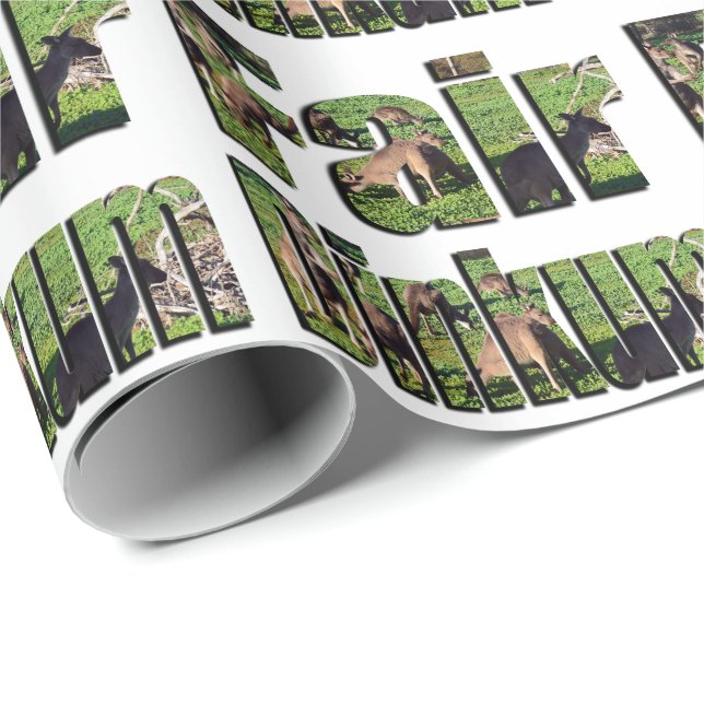 Papel De Presente Justo Dinkum Aussie Slang Word Com Kangaroos, (Ponta do rolo)