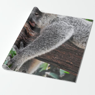 PAPEL DE PRESENTE KALA BEAR DORMINDO NA ÁRVORE