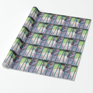 Papel De Presente Kangaroo atrás dos bares