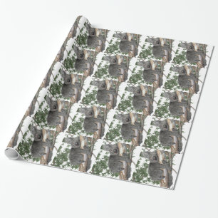 Papel De Presente Koala em uma árvore