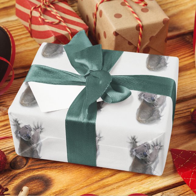 Papel De Presente Koala Hang No Urso Cóctil Traseiro Da Austrália (Criador carregado)