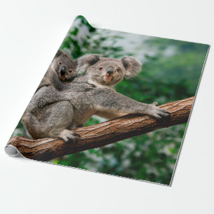 Papel De Presente Koala, phascolarctos cinereus, carregando feminino