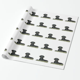 Papel De Presente Laboratório preto bonito