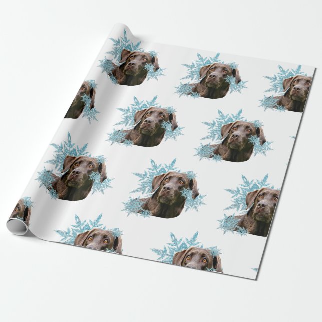 Papel De Presente Labrador de chocolate nos flocos de neve (Desenrolado)