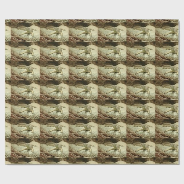 Papel De Presente Lagarto de areia (Aberto)