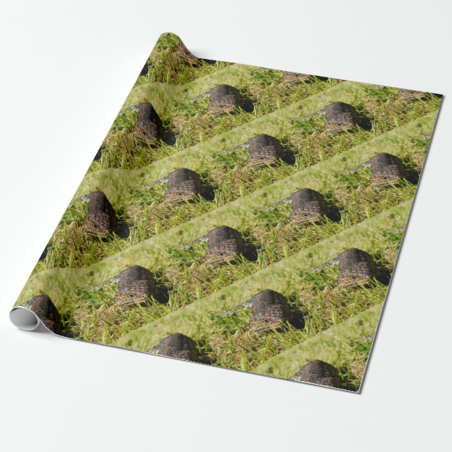 Papel De Presente Lagarto de Língua Azul se Arrastando na Grama, (Desenrolado)