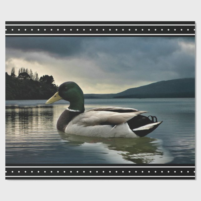Papel De Presente Lago Mallard Duck (Aberto)
