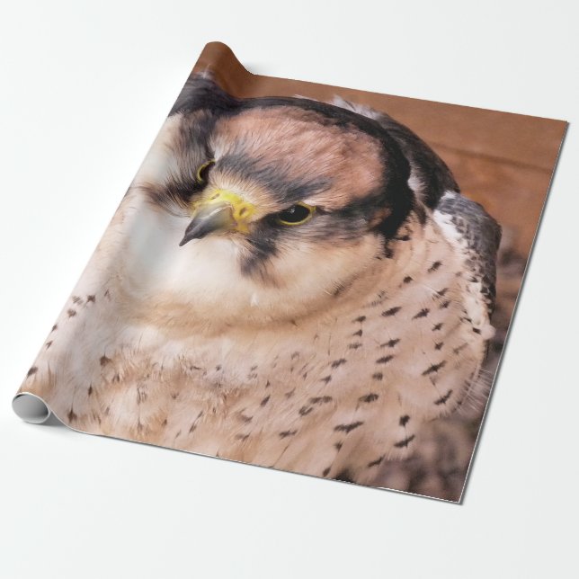 PAPEL DE PRESENTE LANNER FALCON (Desenrolado)