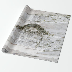 Papel De Presente Latido de Árvore de Birch