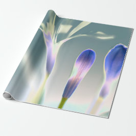 Papel De Presente Lavanda Floral