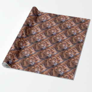 Papel De Presente Leão Africano