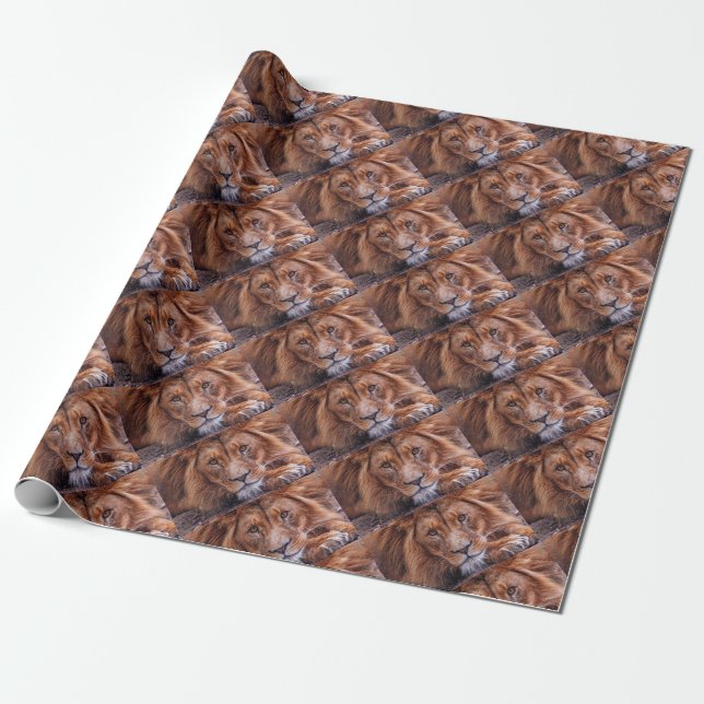 Papel De Presente Leão Africano (Desenrolado)