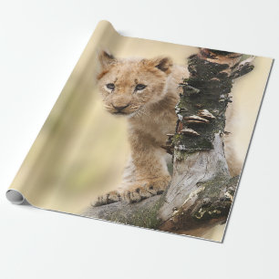 Papel De Presente Leão Cub bonito em uma árvore