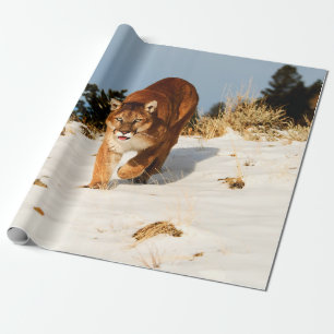 Papel De Presente Leão de Montanha na colina de neve