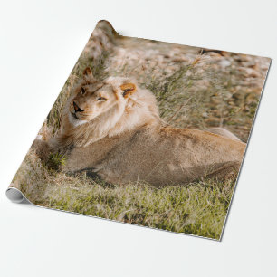 PAPEL DE PRESENTE LEÃO NA GRAMA