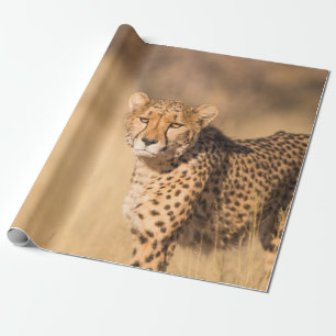 PAPEL DE PRESENTE LEOPARD PORTRAIT