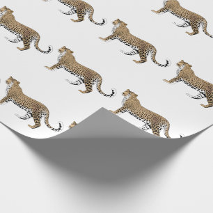 Papel De Presente Leopardo