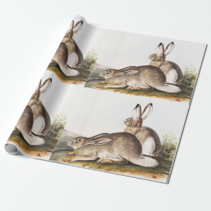 Papel De Presente Lepus Townsendii (Lepus Townsendii)