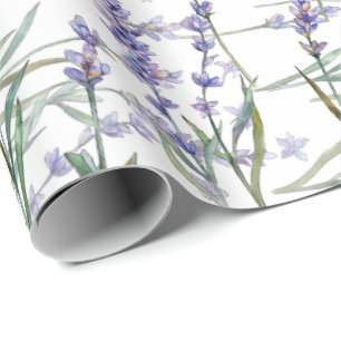 Papel De Presente Lilac do azul da arte da aguarela da planta da