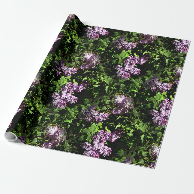Papel De Presente Lilases....... (Desenrolado)