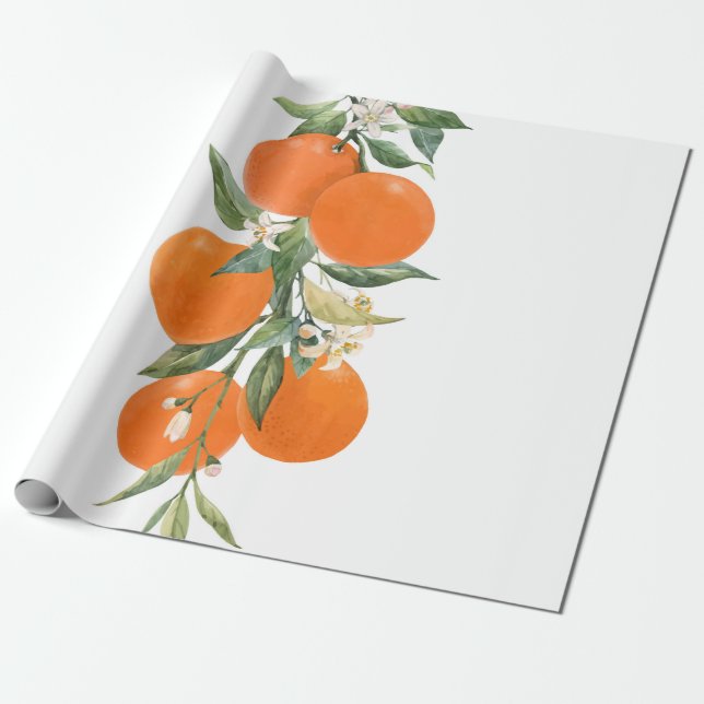 Papel De Presente Limão-laranja fruta de citrinos (Desenrolado)