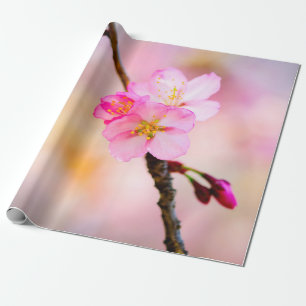 Papel De Presente Linda Sakura Cherry Blossoms