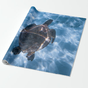 Papel De Presente Linda Tartaruga Aquática Melhor presente para a