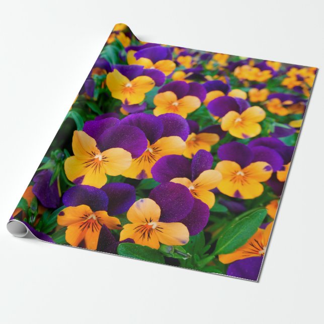 Papel De Presente Lindas pansias florescentes no jardim (Desenrolado)